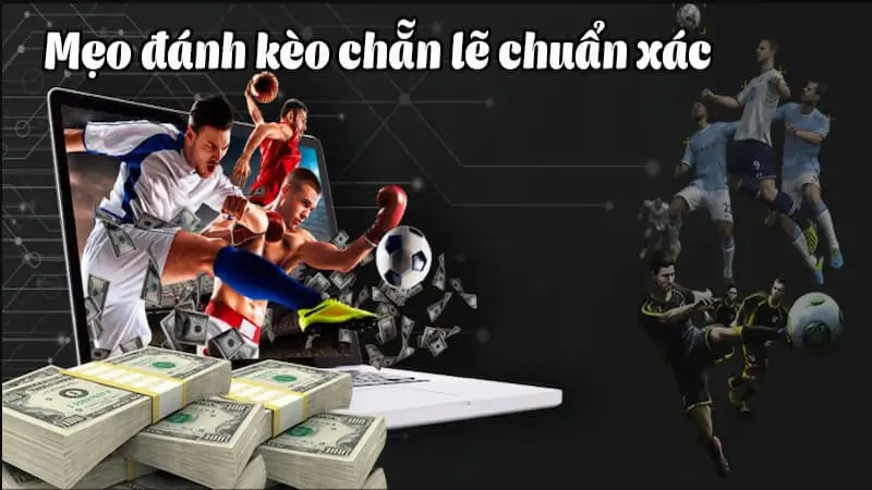 Kinh nghiệm đặt cược bk8: Kèo cược chẵn lẻ hiệu quả 